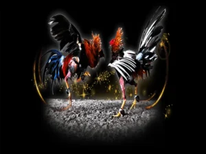 Chinh Phục Đấu Trường Đá Gà Sabong V9bet Với Bí Kíp Bất Bại