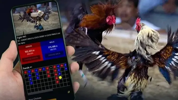 Đá Gà V9bet Sân Chơi Thomo Đỉnh Cao Cháy Cùng Đam Mê